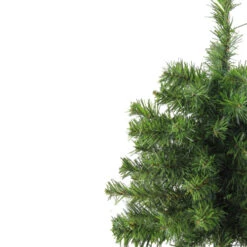 Northlight 18" Medium Canadian Pine Artificial Christmas Tree - Unlit -Ornaments Store 1dgizfmmwt8nkfrnll4q00mjuqkbwkfq 20469.1588356260