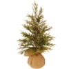 18" Potted Glitter Pine Full Artificial Christmas Tree - Unlit -Ornaments Store 21hv27yhppkbvy1vbhu7vl52zxxlawhj 90220.1588397435