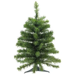 Northlight 2' Medium Canadian Pine Artificial Christmas Tree - Unlit