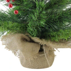 Northlight 24" Mixed Cashmere Berry Pine Medium Artificial Christmas Tree - Unlit -Ornaments Store 4fszc7qvvh13bkrz4obzvfcqiilqrfuf 15414.1665580316