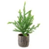 Northlight 12" Potted Medium Artificial Pine Christmas Tree - Unlit -Ornaments Store 5hip95ydsnqwl35ipyuiki9d00xcj5de 85753.1588359030
