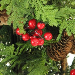 5' Slim Mixed Cedar Pine Entryway Artificial Christmas Tree - Unlit -Ornaments Store cfyznzqotrg1zrz5gl3npctgqlvsivne 86689.1588397242