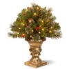 Christmas Central 2' Pre-lit Crestwood Spruce Porch Bush Artificial Christmas Tree, Clear Lights -Ornaments Store cw7 300 24p 67330.1587644017
