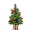 Christmas Central 2' Potted Crestwood Spruce Artificial Christmas Tree – Unlit -Ornaments Store cw7 701 20 04176.1588344960