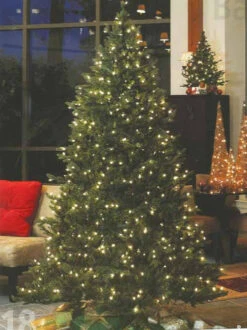 6' Pre-Lit Medium Savannah Spruce Artificial Christmas Tree - Clear Lights -Ornaments Store d5fpqwz4jw6cjz5aiqa6ixilicymnggv 49911.1588370840