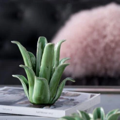 7.5" Green Aloe Vera Style Glossy Tealight Candle Holder -Ornaments Store dabhg hp0386 2 58501.1588357094