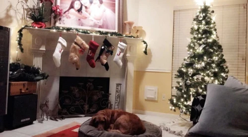 22" Beige And Black German Shepherd Dog Christmas Stocking 4 22" Beige And Black German Shepherd Dog Christmas Stocking - Image 2