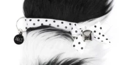 20" Black And White Border Collie Dog Christmas Stocking -Ornaments Store dhhs hh58 4 16502.1587644260