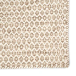 Christmas Central 8.75' X 12' Beige And Ivory Flat Weave Contemporary Rectangular Area Throw Rug -Ornaments Store djri rug140372 3 45550.1665580605