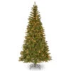 Christmas Central 7' Pre-Lit Aspen Spruce Artificial Christmas Tree, White Lights -Ornaments Store dnat20ap7 300 70 99538.1588344948