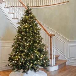 Christmas Central 7.5 Ft. Carolina Pine Tree With Clear Lights -Ornaments Store dnat20cap3 306 75 2 19057.1686144238