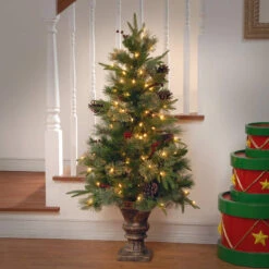 Christmas Central 4' Pre-lit Potted Colonial Entrance Artificial Christmas Tree, Clear Lights 7 Christmas Central 4' Pre-lit Potted Colonial Entrance Artificial Christmas Tree, Clear Lights -Ornaments Store dnat20peco4 306 40 2 93018.1588344913