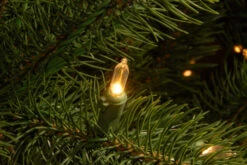 Christmas Central 10’ Pre-Lit Downswept Douglas Fir Artificial Christmas Tree, Clear LED Lights 9 Christmas Central 10’ Pre-Lit Downswept Douglas Fir Artificial Christmas Tree, Clear LED Lights -Ornaments Store dnat20pedd1 312ld 10x 2 93347.1588348927