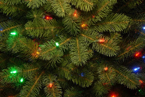 Christmas Central 10’ Pre-Lit Downswept Douglas Fir Artificial Christmas Tree, Clear LED Lights 6 Christmas Central 10’ Pre-Lit Downswept Douglas Fir Artificial Christmas Tree, Clear LED Lights - Image 4