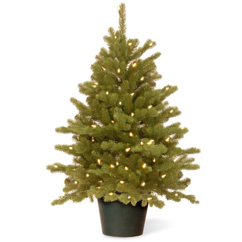 Christmas Central 3' Pre-lit Potted Hampton Spruce Artificial Christmas Tree, Clear Lights 3 Christmas Central 3' Pre-lit Potted Hampton Spruce Artificial Christmas Tree, Clear Lights
