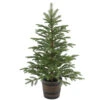 Christmas Central 4' Potted Norwegian Spruce Entrance Artificial Christmas Tree, Unlit -Ornaments Store dnat20peng4 700 40p 69044.1588348946