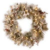 Christmas Central Pre-Lit Snowy Bedford Pine Artificial Christmas Wreath, 30-Inch, LED Lights -Ornaments Store dnat20sbe1 308 30wbc1 14908.1588371431