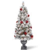 Christmas Central 5' Pre-lit Potted Snowy Bristle Pine Entrance Artificial Christmas Tree – Clear Lights