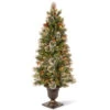 Christmas Central 5" Pre-Lit Potted Wintry Pine Artificial Christmas Tree, Clear Lights -Ornaments Store dnat20wp1e28090302e2809050 99994.1588370679