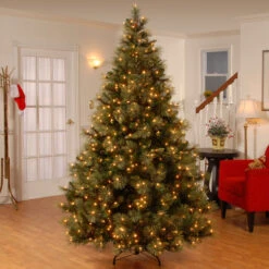 Christmas Central 9 Ft. Carolina Pine Tree With Clear Lights 6 Christmas Central 9 Ft. Carolina Pine Tree With Clear Lights -Ornaments Store dnat cap3 306 90 2 83578.1665519663