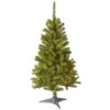 4’ Pre-Lit Canadian Grande Fir Artificial Christmas Tree - Clear Lights