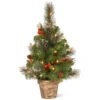 Christmas Central 2' Pre-lit Potted Vibrantly Colored Crestwood Spruce Artificial Christmas Tree – Clear Lights -Ornaments Store dnat cw7 306 20 43134.1664379666