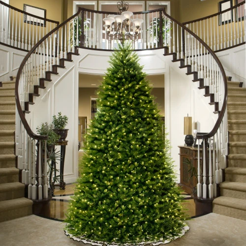 9' Pre-Lit Dunhill Blue Fir Hinged Artificial Christmas Tree - Clear Lights 4 9' Pre-Lit Dunhill Blue Fir Hinged Artificial Christmas Tree - Clear Lights - Image 2