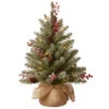 Christmas Central 2' Pre-Lit Dunhill Fir Artificial Christmas Tree - Warm White LED Lights