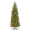 Christmas Central 10’ Pre-lit Dunhill Fir Slim Artificial Christmas Tree –Clear Lights -Ornaments Store dnat duslh1 100lo 1 32089.1631812646