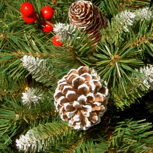 Christmas Central Frosted Pinecones With Grapevine Artificial Christmas Wreath, 16-Inch, Unlit 4 Christmas Central Frosted Pinecones With Grapevine Artificial Christmas Wreath, 16-Inch, Unlit - Image 2