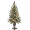 Christmas Central 4' Pre-lit Potted Glittery Bristle Christmas Tree, Clear Lights -Ornaments Store dnat gb3 306 40 1 76498.1631811178