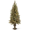 Christmas Central 4’ Pre-Lit Glittery Bristle Entrance Artificial Christmas Tree, Warm White LED Lights -Ornaments Store dnat gb3 326 40 1 09231.1664294124