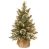 2' Pre-Lit Full Glittery Bristle Pine Artificial Christmas Tree - Warm White LED Lights