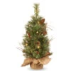 2' Pre-Lit Full Glistening Pine Artificial Christmas Tree - Warm White LED Lights