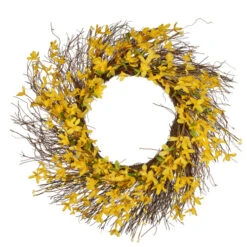 Spring Forsythia Artificial Christmas Wreath - 24-Inch, Unlit