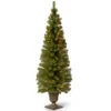 6' Pre-Lit Montclair Spruce Christmas Tree - Clear Lights 1 6' Pre-Lit Montclair Spruce Christmas Tree - Clear Lights -Ornaments Store dnat mc7 308 60 01 56023.1664380273
