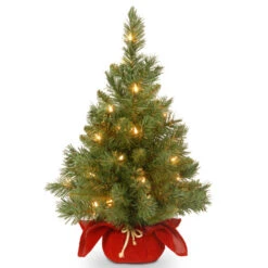 Christmas Central 2' Pre-Lit Potted Majestic Fir Full Artificial Christmas Tree, White LED Lights