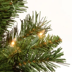 Christmas Central 2' Pre-Lit Potted Majestic Fir Full Artificial Christmas Tree, White LED Lights -Ornaments Store dnat mj3 24bglo b1 3 46196.1587645163