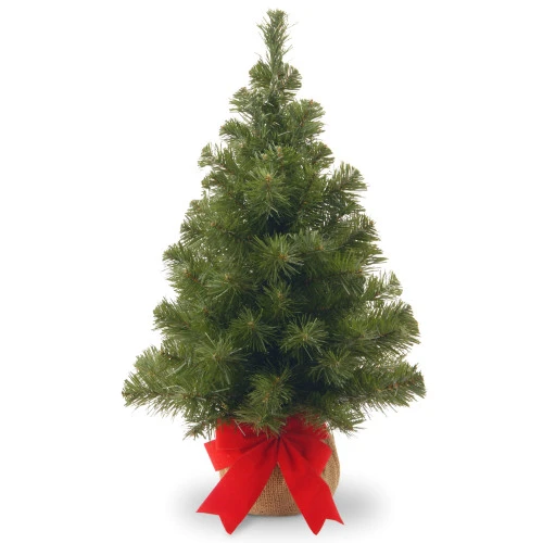 Christmas Central 2' Potted Noble Spruce Medium Artificial Christmas Tree, Unlit 3 Christmas Central 2' Potted Noble Spruce Medium Artificial Christmas Tree, Unlit