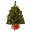 2' Pre-Lit Potted Noble Spruce Battery Operated Medium Artificial Christmas Tree – Warm White Lights