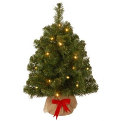 2' Pre-Lit Potted Noble Spruce Battery Operated Medium Artificial Christmas Tree – Warm White Lights