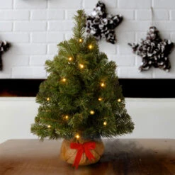 2' Pre-Lit Potted Noble Spruce Battery Operated Medium Artificial Christmas Tree – Warm White Lights -Ornaments Store dnat nb3 20bp b1 3 78961.1587645160