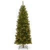 Christmas Central 6’ Pre-lit Pencil North Valley Spruce Artificial Christmas Tree, Clear Lights -Ornaments Store dnat nrv7 358 60 1 25769.1663340873