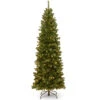 Christmas Central 6.5’ Pre-lit Pencil North Valley Spruce Artificial Christmas Tree, Clear Lights -Ornaments Store dnat nrv7 358 65 1 04543.1665260248