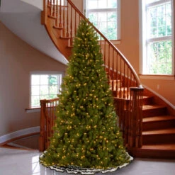 12’ Pre-lit North Valley Spruce Artificial Christmas Tree – Clear Lights 7 12’ Pre-lit North Valley Spruce Artificial Christmas Tree – Clear Lights -Ornaments Store dnat nrv7 363 120 3 85115.1631812656
