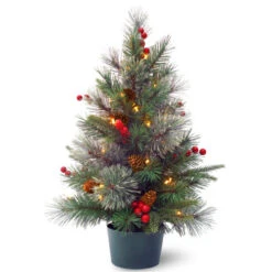Christmas Central 2' Pre-lit Potted Colonial Fir Medium Artificial Christmas Tree, White LED Lights