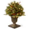 Christmas Central 2' Pre-lit Potted Colonial Porch Bush Artificial Christmas Tree, Clear Lights -Ornaments Store dnat peco1 300 24p 1 08078.1631812352