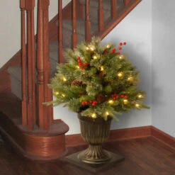 Christmas Central 2' Pre-lit Potted Colonial Porch Bush Artificial Christmas Tree, Clear Lights -Ornaments Store dnat peco1 300 24p 3 70683.1631812353