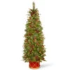 Christmas Central 6' Pre-Lit Potted Pencil Colonial Fir Artificial Christmas Half Wall Tree, Clear Lights -Ornaments Store dnat peco8 361 60ht 1 09317.1587645164