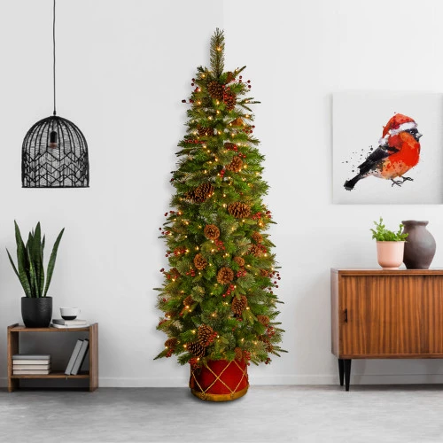 Christmas Central 6' Pre-Lit Potted Pencil Colonial Fir Artificial Christmas Half Wall Tree, Clear Lights 4 Christmas Central 6' Pre-Lit Potted Pencil Colonial Fir Artificial Christmas Half Wall Tree, Clear Lights - Image 2